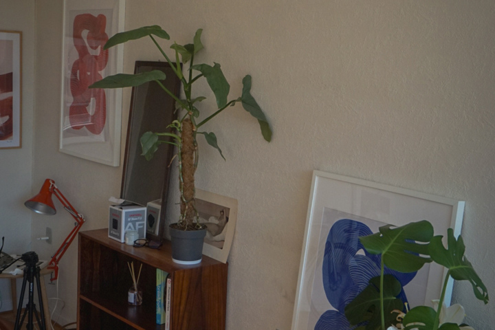 Cozy apartment in the city - 6