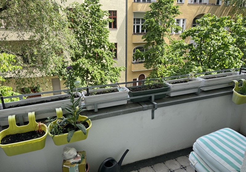 home swap in Berlin, Germany