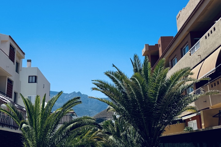 Beachfront Light Spacious Apartment - 14