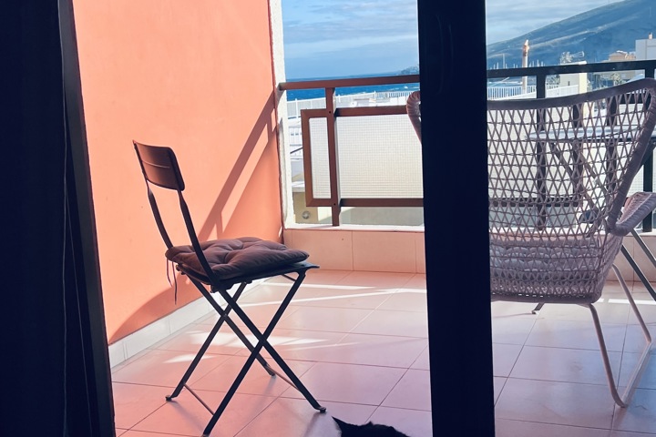 Beachfront Light Spacious Apartment - 27