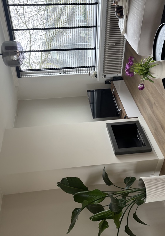 home swap in Groningen, The Netherlands