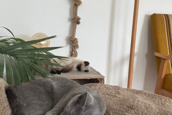 Spacious and bright flat in the hip Berlin center - 11