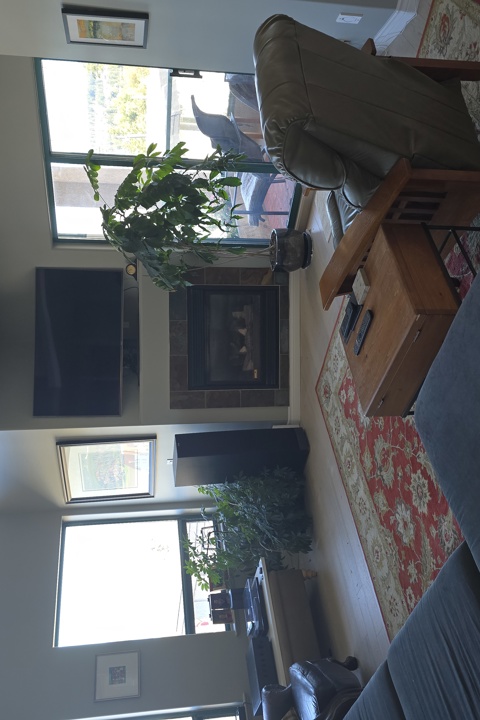 Top floor Condo with Shuswap Lake view - 4