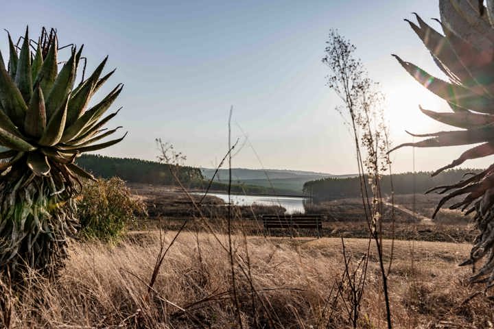 Comfortable home-Close to the Kruger National Park - 35