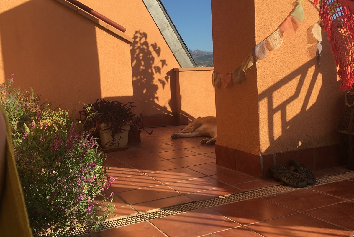 Peaceful house in Granada with garden