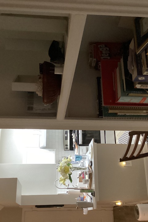 Hill Country Tree Top Haven - 4