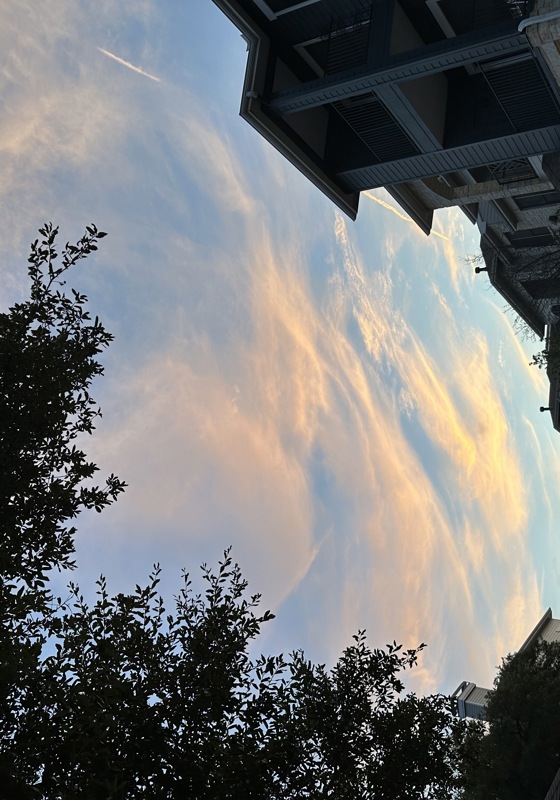 home swap in Austin, Texas