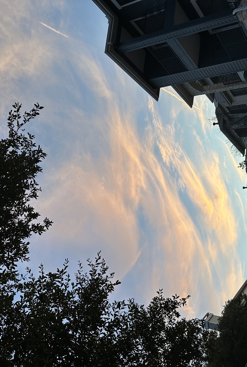 Hill Country Tree Top Haven