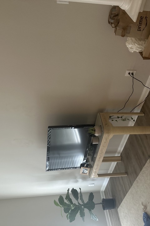 Hill Country Tree Top Haven - 1