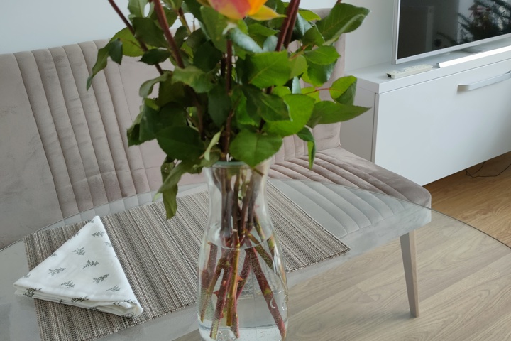 Flat near ski slopes, High Tatras and Zakopane - 2