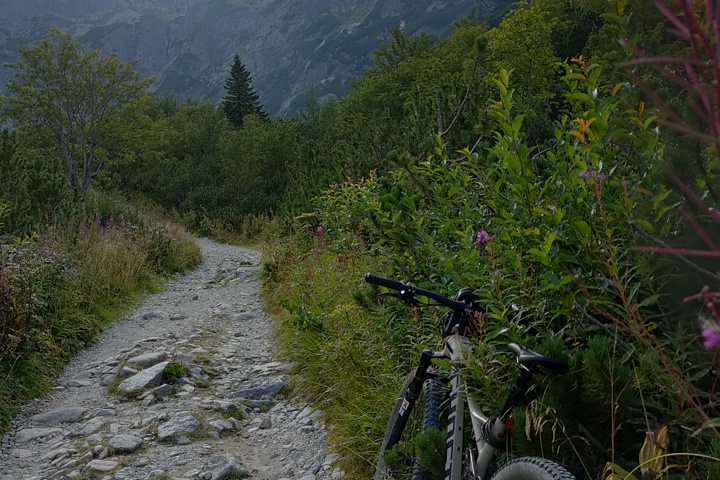 Flat near ski slopes, High Tatras and Zakopane - 16