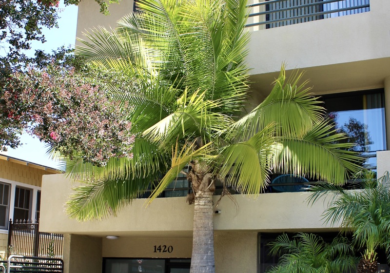 home swap in West Hollywood, California