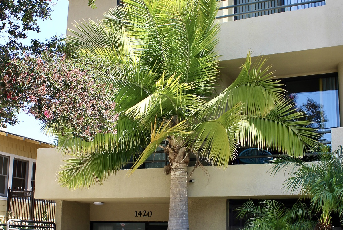 Designer Light Filled WeHo Condo