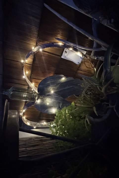 Yoga Garden🌿Studio - 4