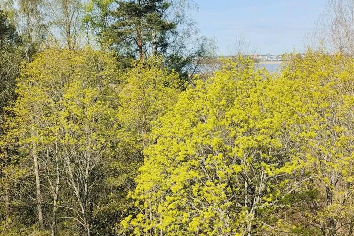 Helsinki home - 2