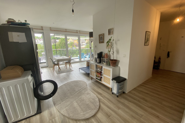 Newer Apartment in the Odenwald of Heidelberg - 3