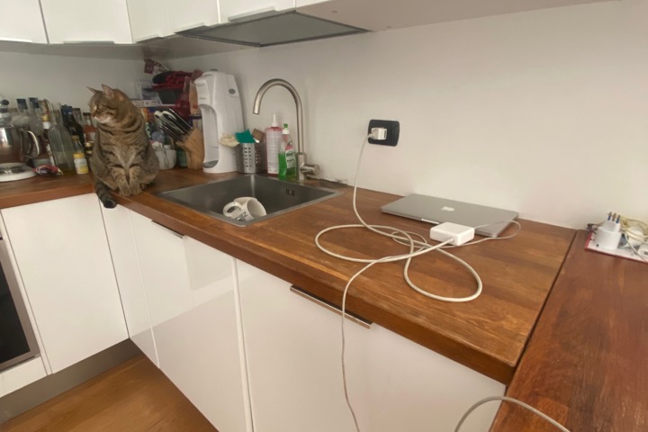 Rare Milan Apartment in Historic Center with Cat - 1