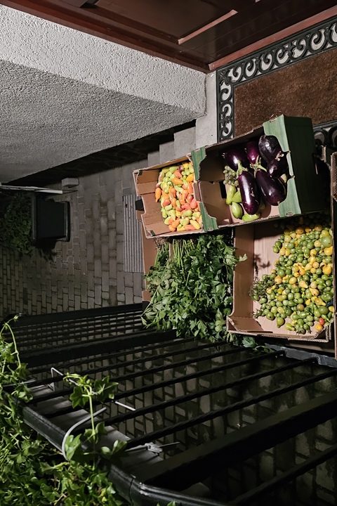 Budapest for discover - 2