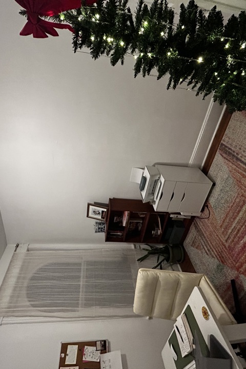 Charming & Spacious 14th and U St DC Apartment - 7