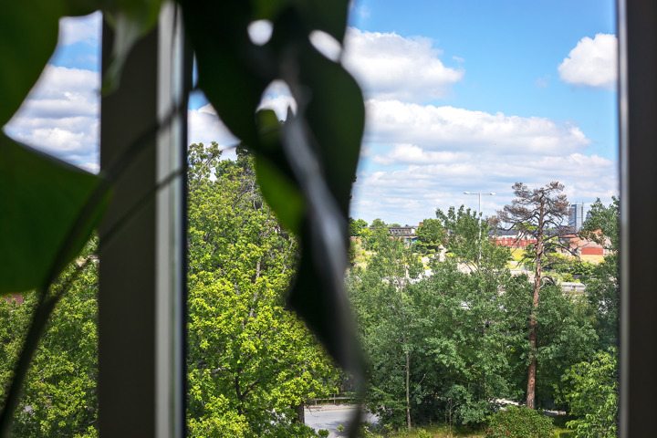 Stockholm Central with Nature - 6