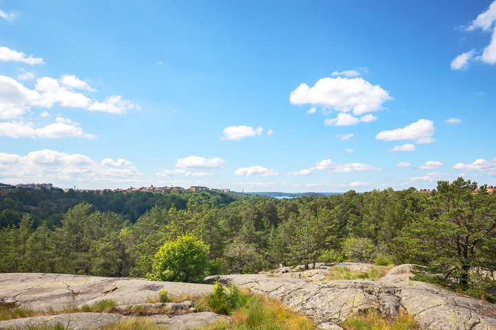 Stockholm Central with Nature - 26