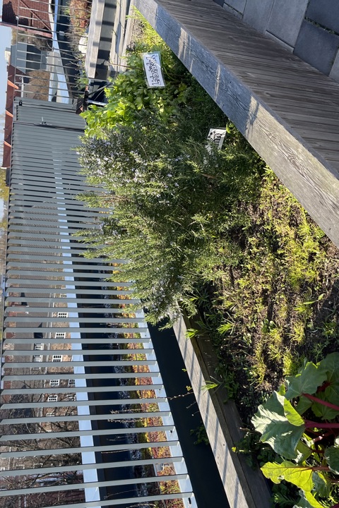 City Maisonette with Terrace in Altona-Ottensen - 7