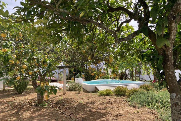 House Bombom near the sea - 2