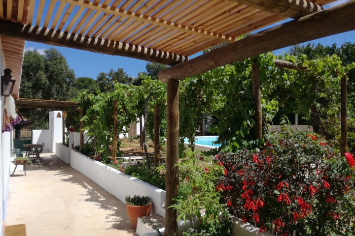 House Bombom near the sea - 3