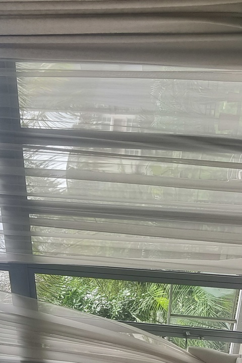 Luxury Duplex Condo in Orchard boulevard Singapore - 6