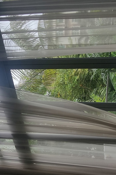Luxury Duplex Condo in Orchard boulevard Singapore - 2