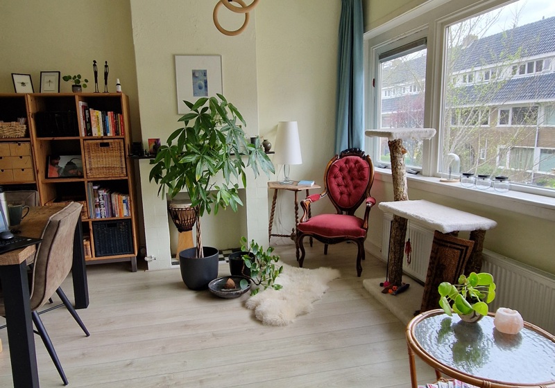 home swap in Leeuwarden, The Netherlands