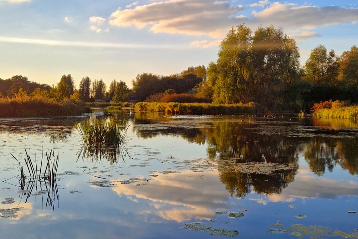 A charming 1930s house Leeuwarden (1 or 2 pers). - 7