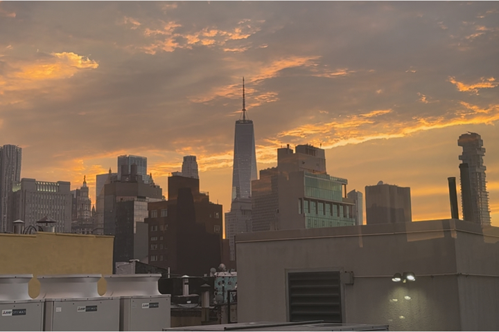 Lower East Side Oasis with view of WTC - 4