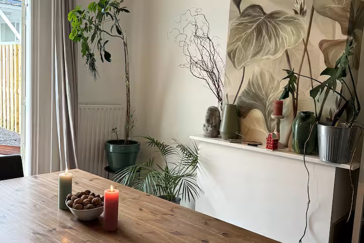 Spacious home in the heart of Leiden - 2