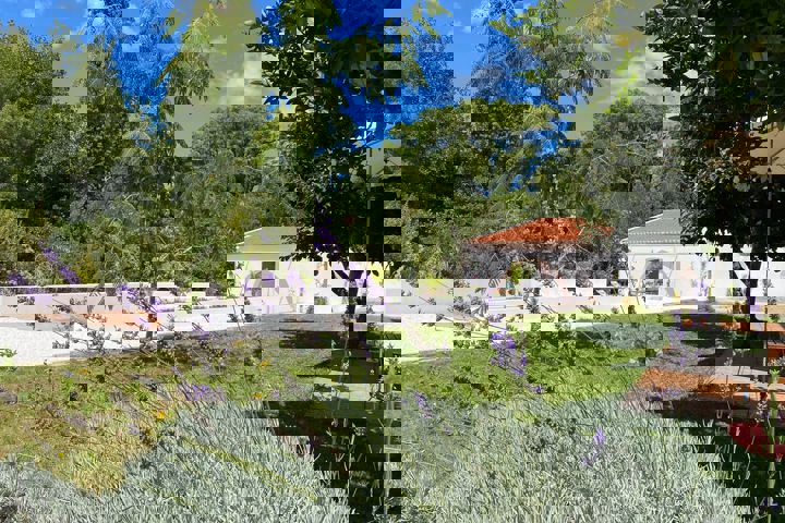 River House City Center - 6