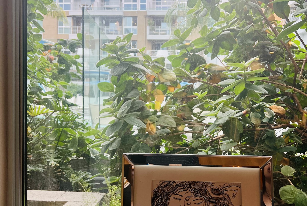 Modern Spacious Luxury Apt in the heart of WEHO