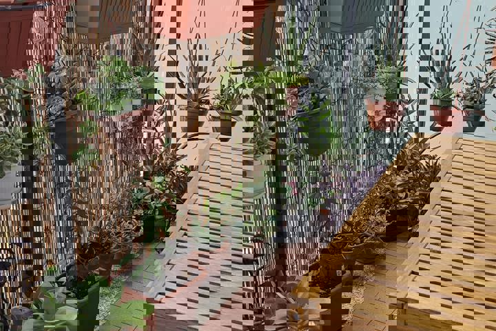 Plants flat - 4