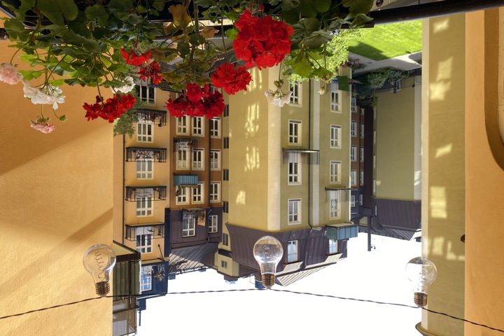 Bright & Modern Turn-of-the-Century City Home - 14