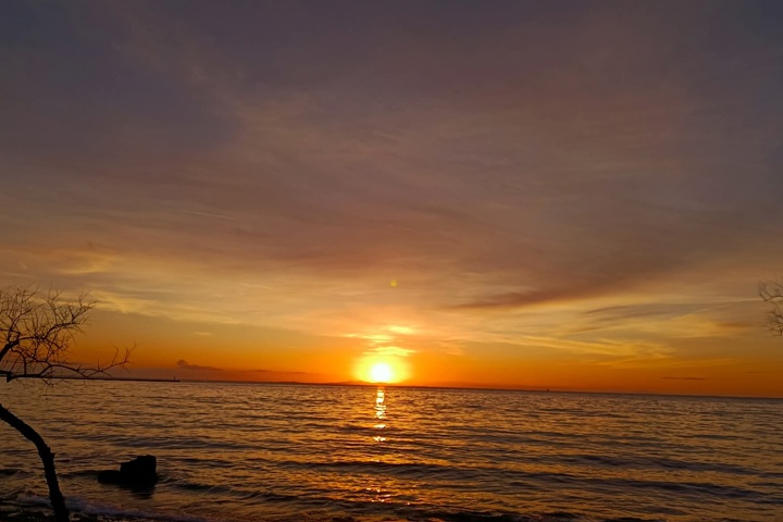 Our seaside home with backyard and workspaces - 10