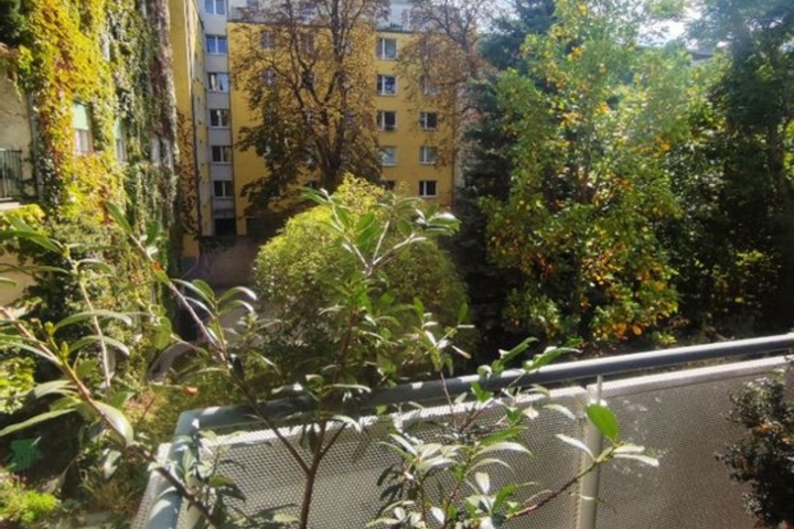 Vienna calling: Green oasis in the city centre - 6