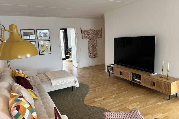 Copenhagen Beach Front Apartment - 4