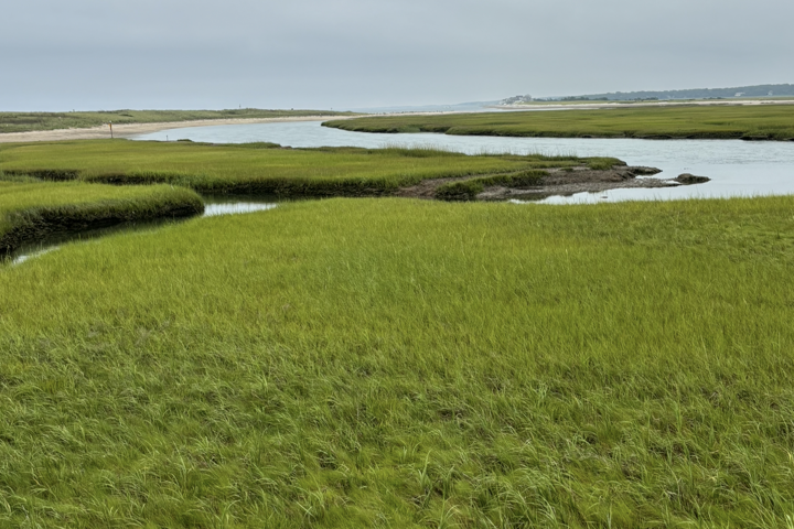 Walk to water and Cap Cod Canal bike path area - 9