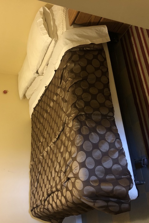 Spacious will set up basement apartment - 5