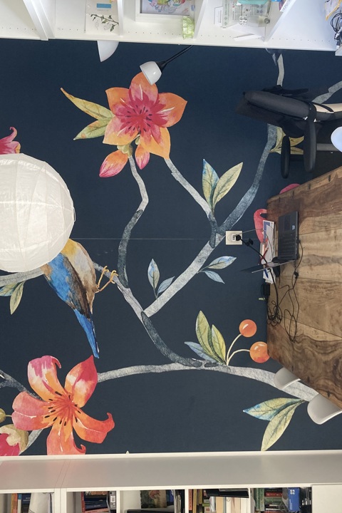 City apartment with quiet garden and 2 cats - 8