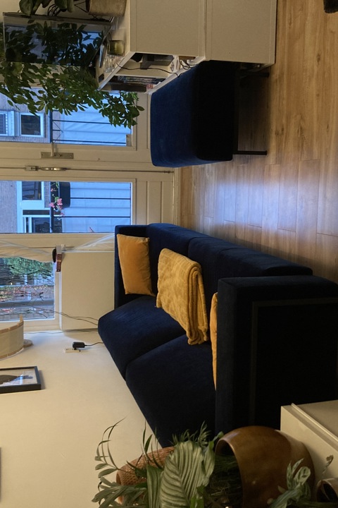 City apartment with quiet garden and 2 cats - 7