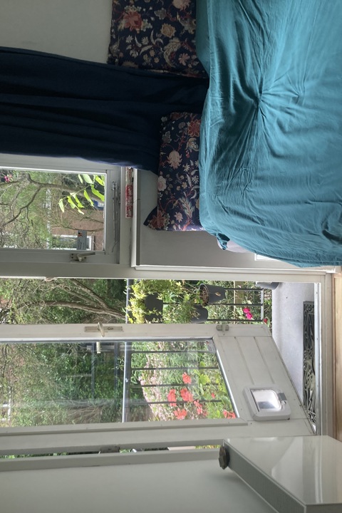 City apartment with quiet garden and 2 cats - 9