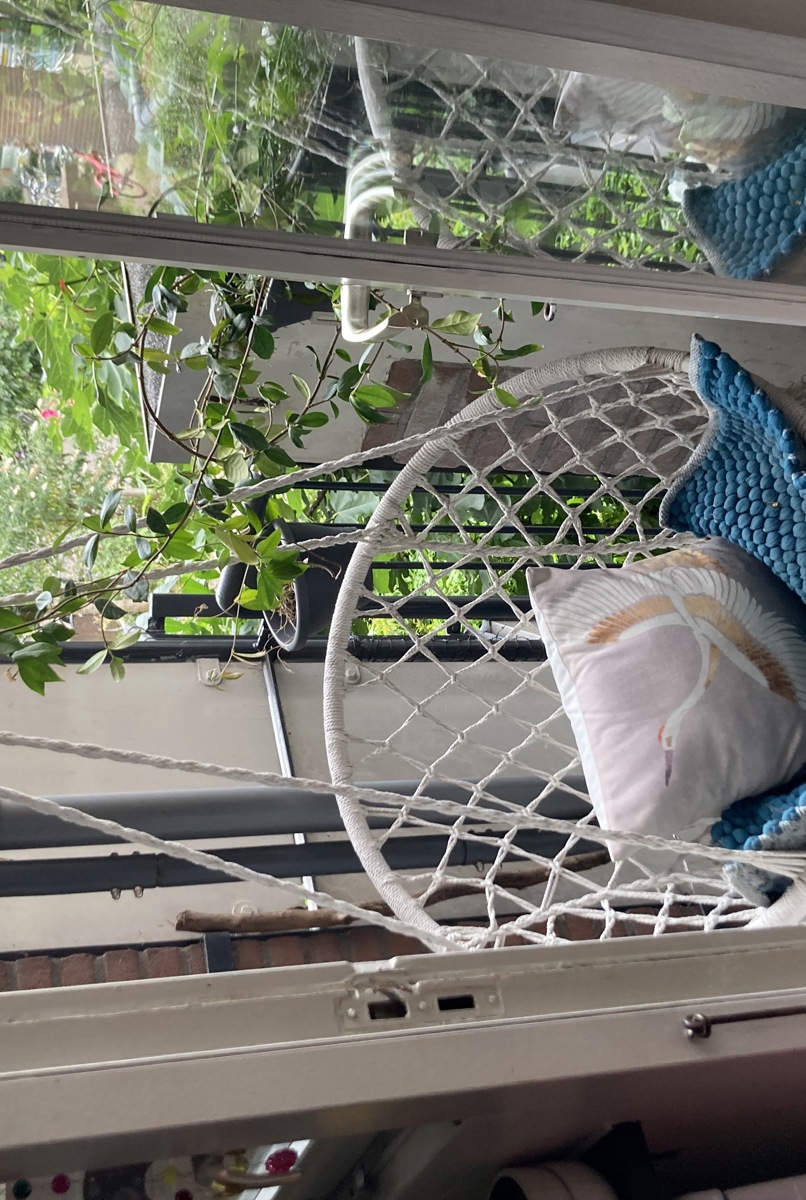 City apartment with quiet garden and 2 cats