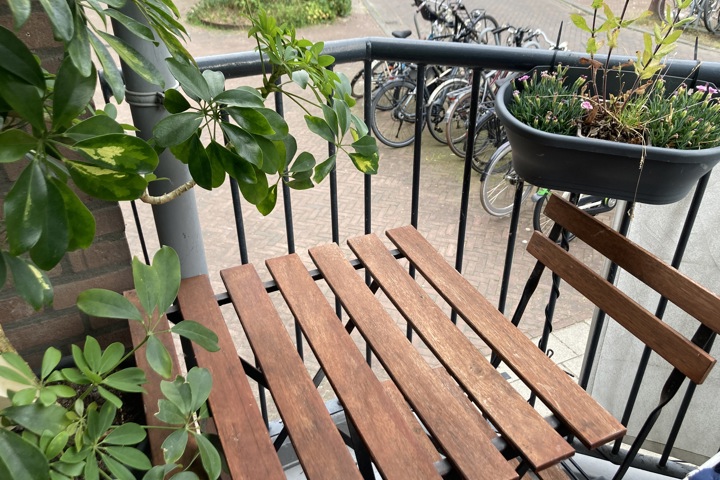 City apartment with quiet garden and 2 cats - 6