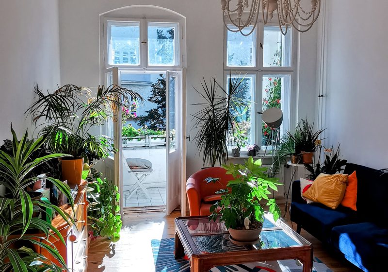 home swap in Berlin, Germany