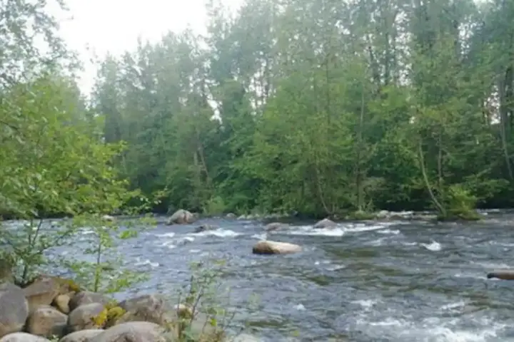 Elegant and Minimalist Studio - 18